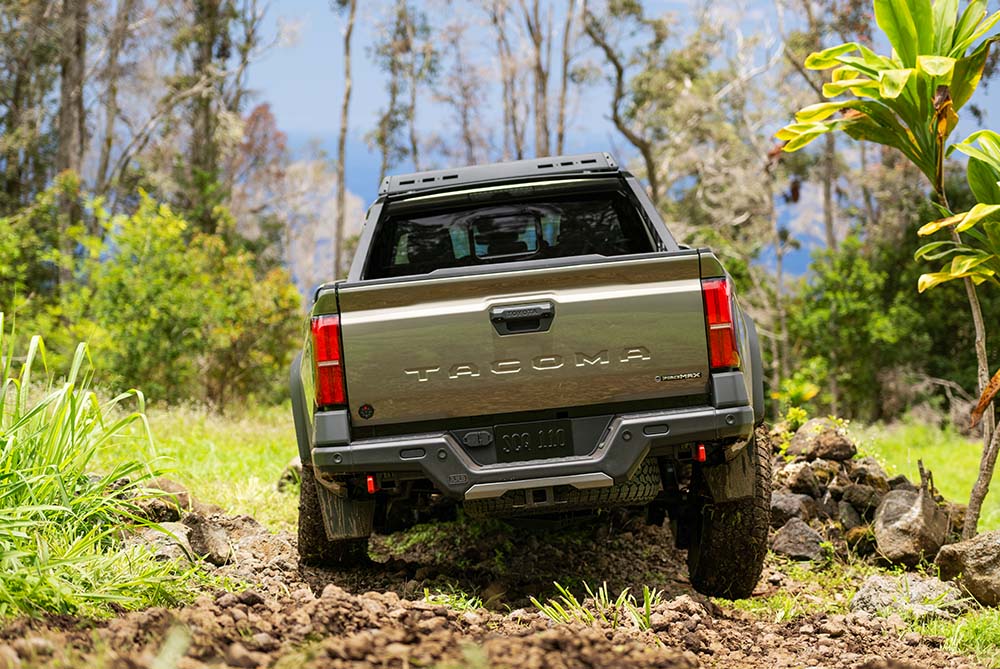 Toyota Tacoma in a forest