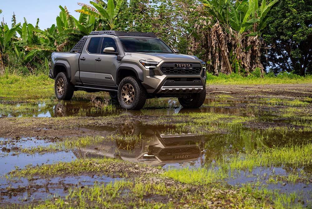 Toyota Tacoma driving through a wetland