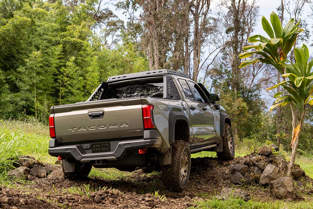 Tacoma driving through a tropical forest