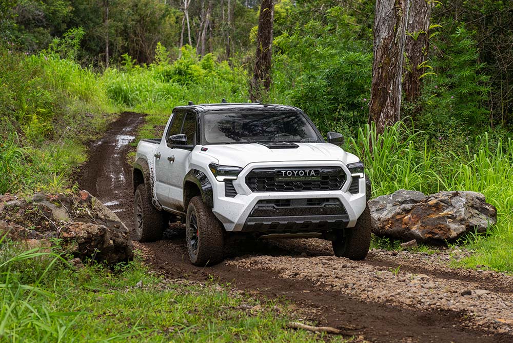 Toyota Tacoma driving through a forest